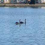 Stylish 2 Bed Riverside House, 2 Kingsize Beds, Free Parking